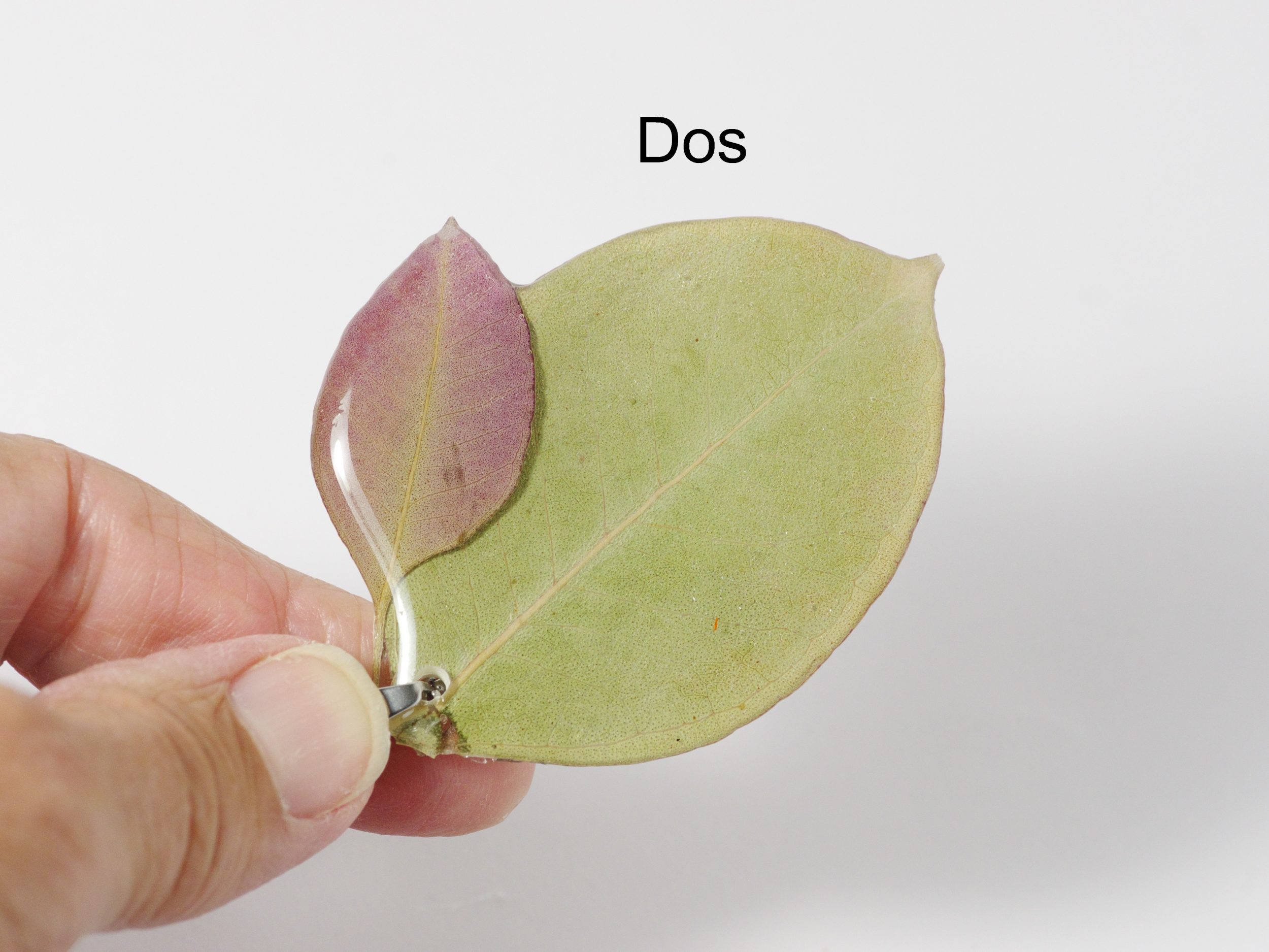 Collier Elfine , plusieurs feuilles d'eucalyptus – Image 4