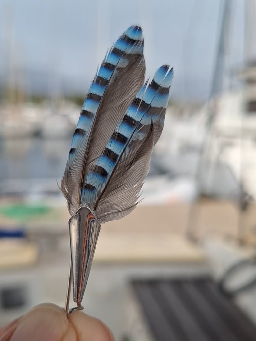 RÉSERVÉ Broche à chapeau, plumes de geai.