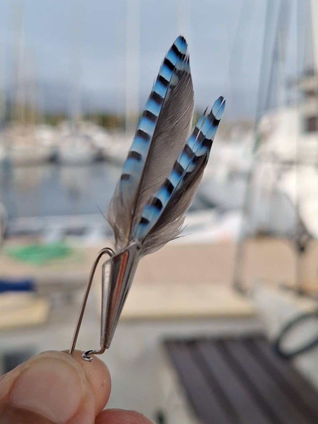 RÉSERVÉ Broche à chapeau, plumes de geai. – Image 2