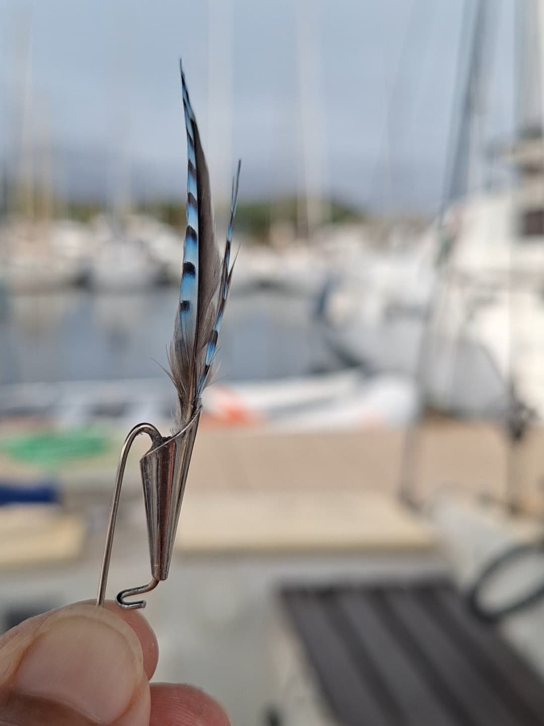 RÉSERVÉ Broche à chapeau, plumes de geai. – Image 4