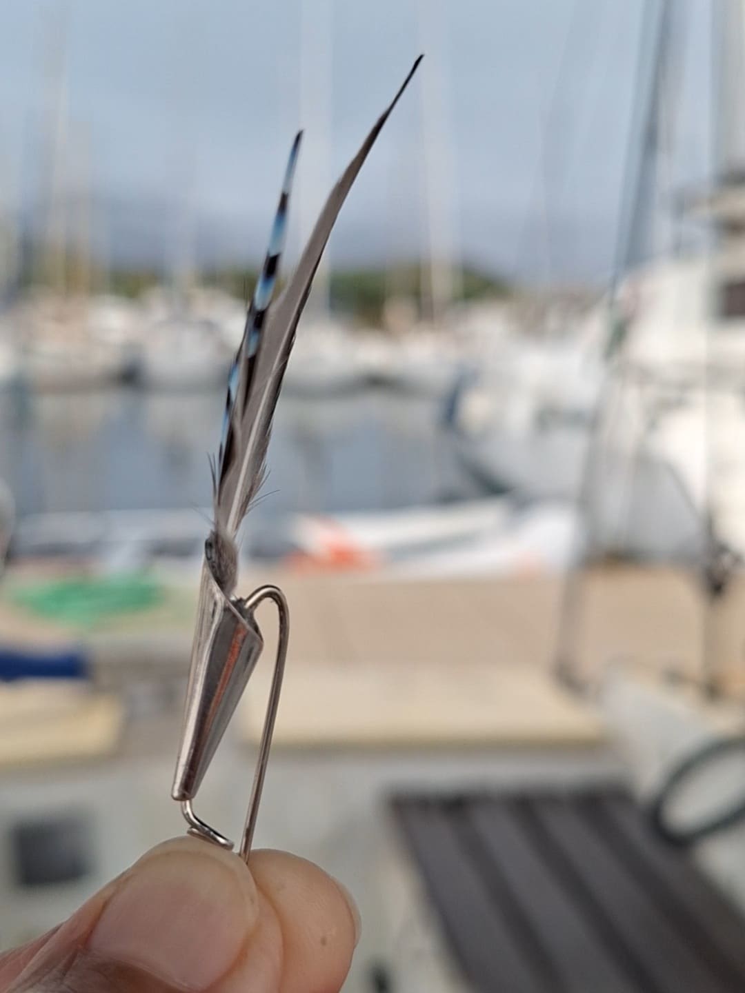 RÉSERVÉ Broche à chapeau, plumes de geai. – Image 3