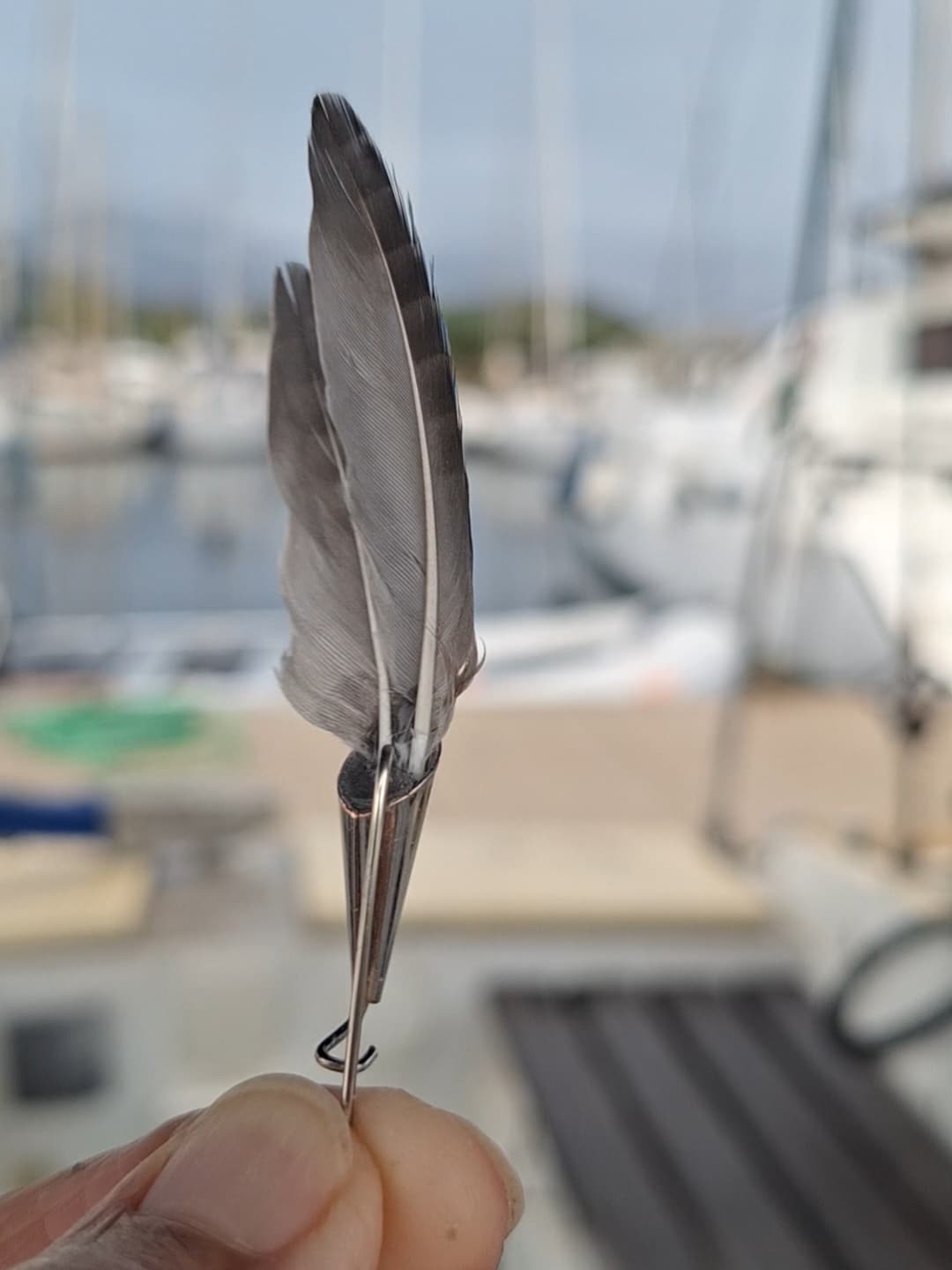 RÉSERVÉ Broche à chapeau, plumes de geai. – Image 5