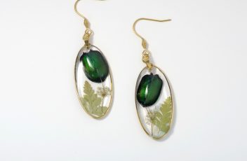 boucles-d-oreilles_calosoma_petit-scarabée_cadre-ovale_iox-doré (2)