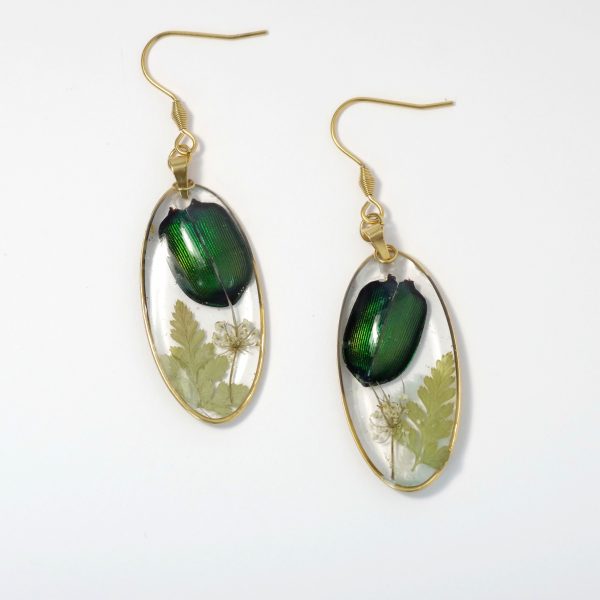 Boucles d'oreilles Calosoma, petits scarabées, cadre doré