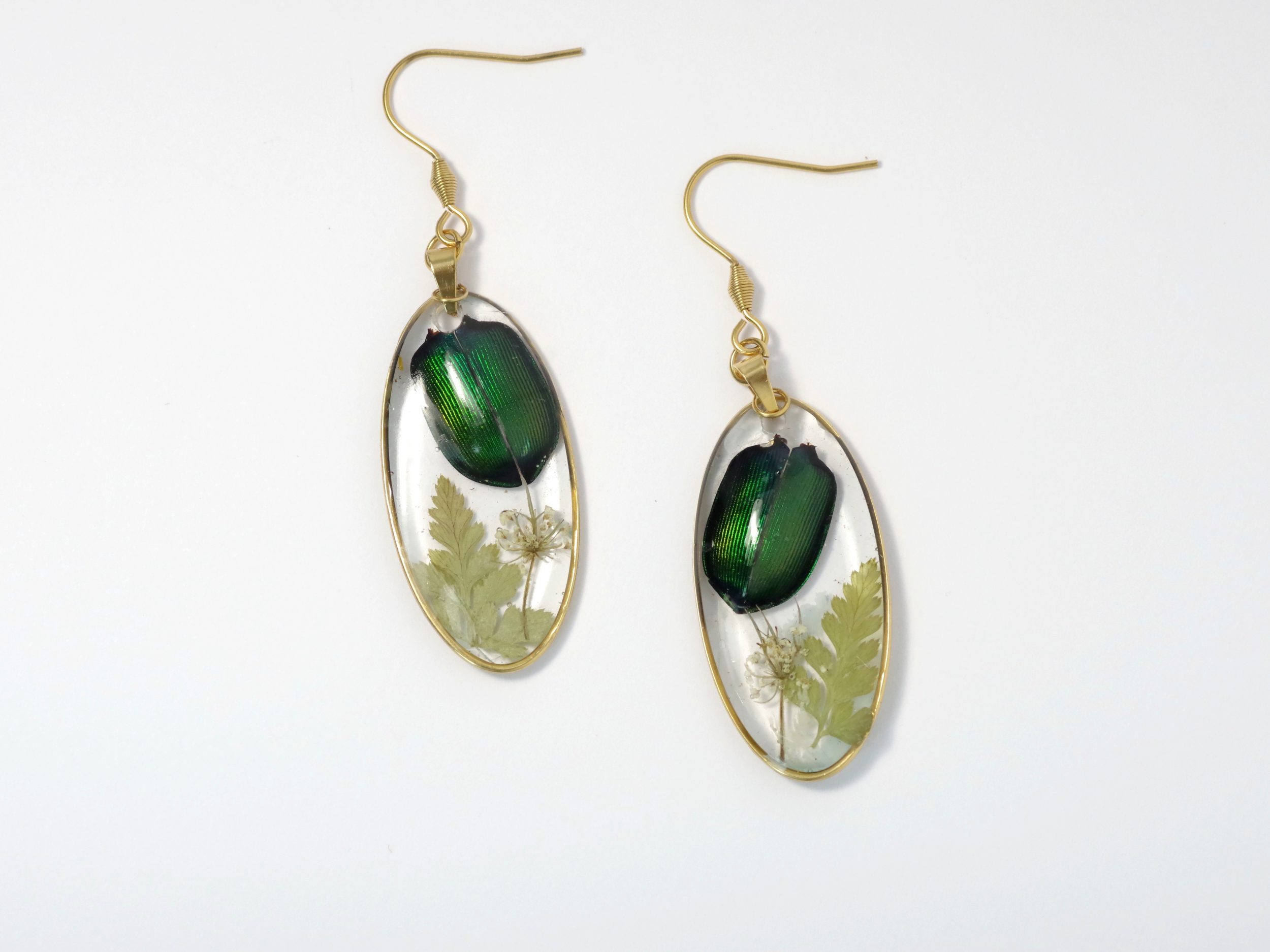 Boucles d'oreilles Calosoma, petits scarabées, cadre doré