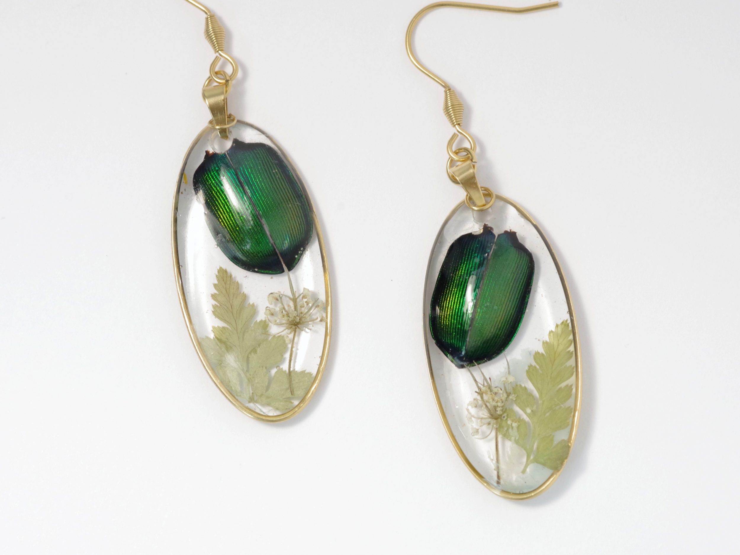 Boucles d'oreilles Calosoma, petits scarabées, cadre doré – Image 2