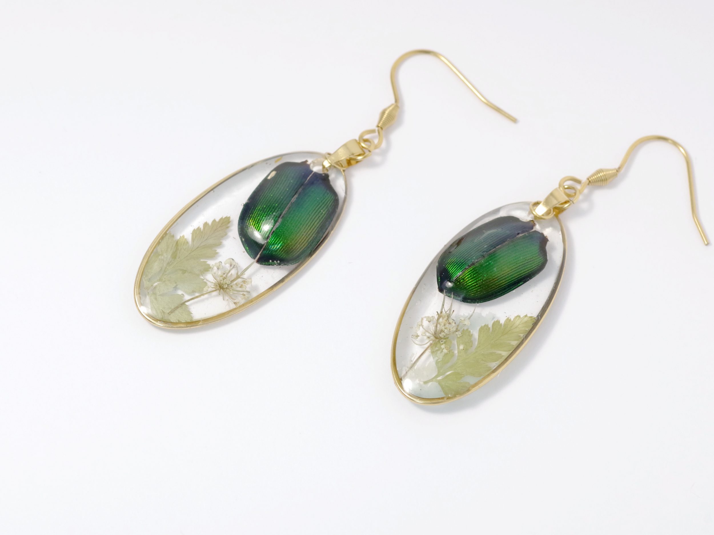 Boucles d'oreilles Calosoma, petits scarabées, cadre doré – Image 5