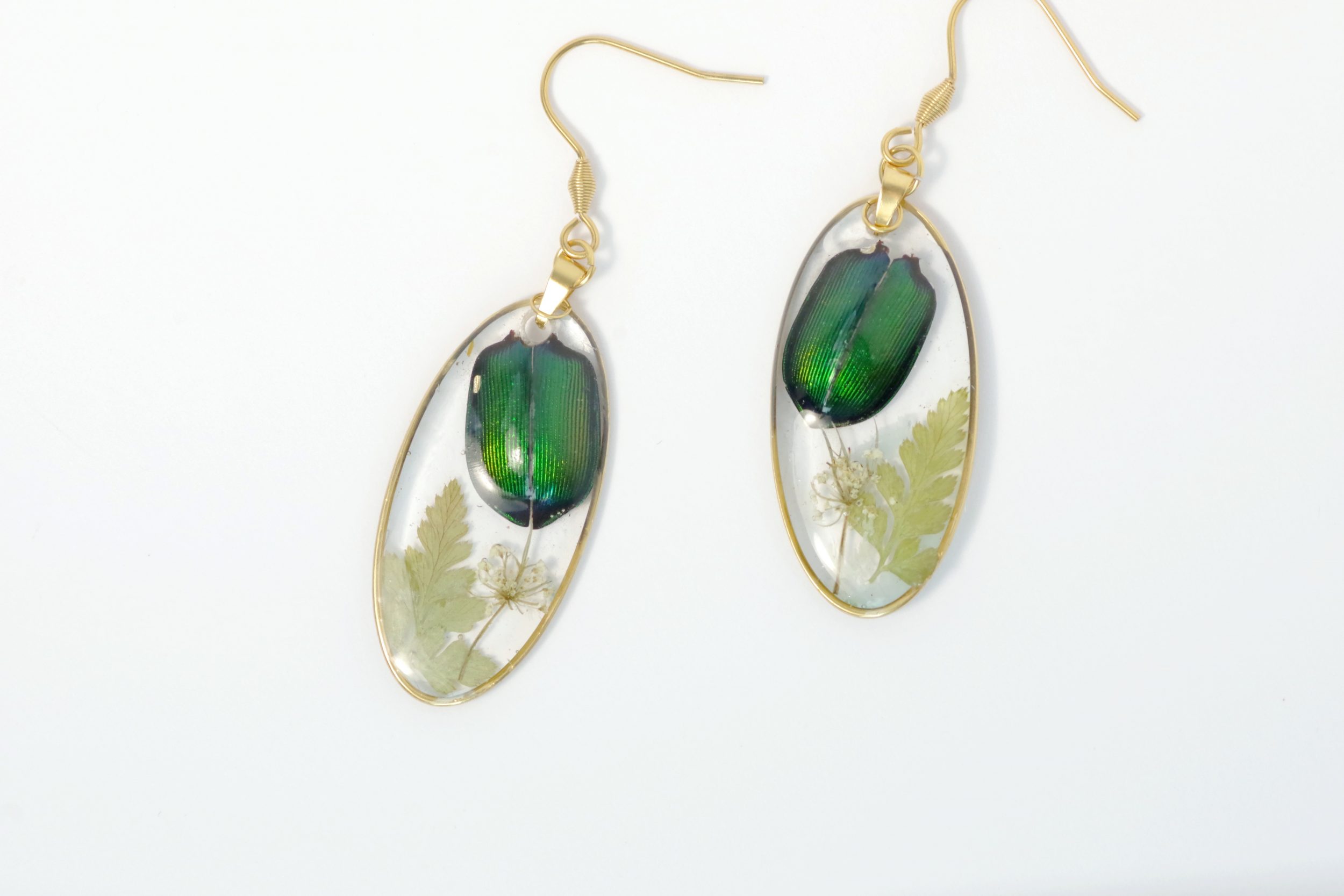 Boucles d'oreilles Calosoma, petits scarabées, cadre doré – Image 4