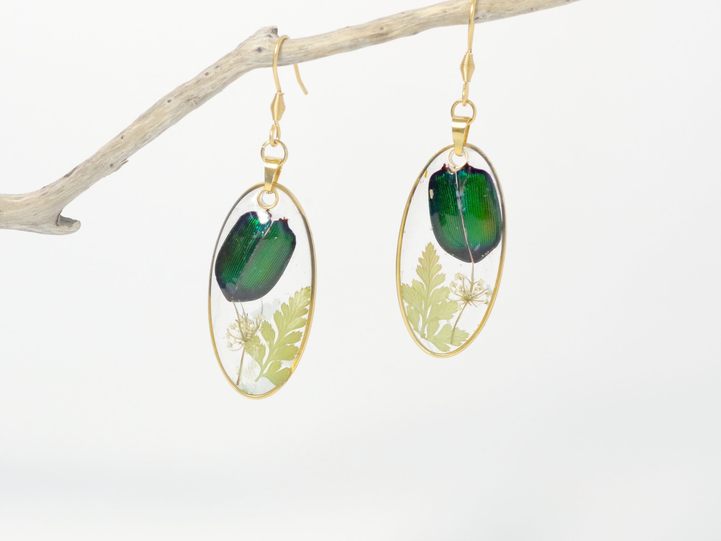 Boucles d'oreilles Calosoma, petits scarabées, cadre doré – Image 3