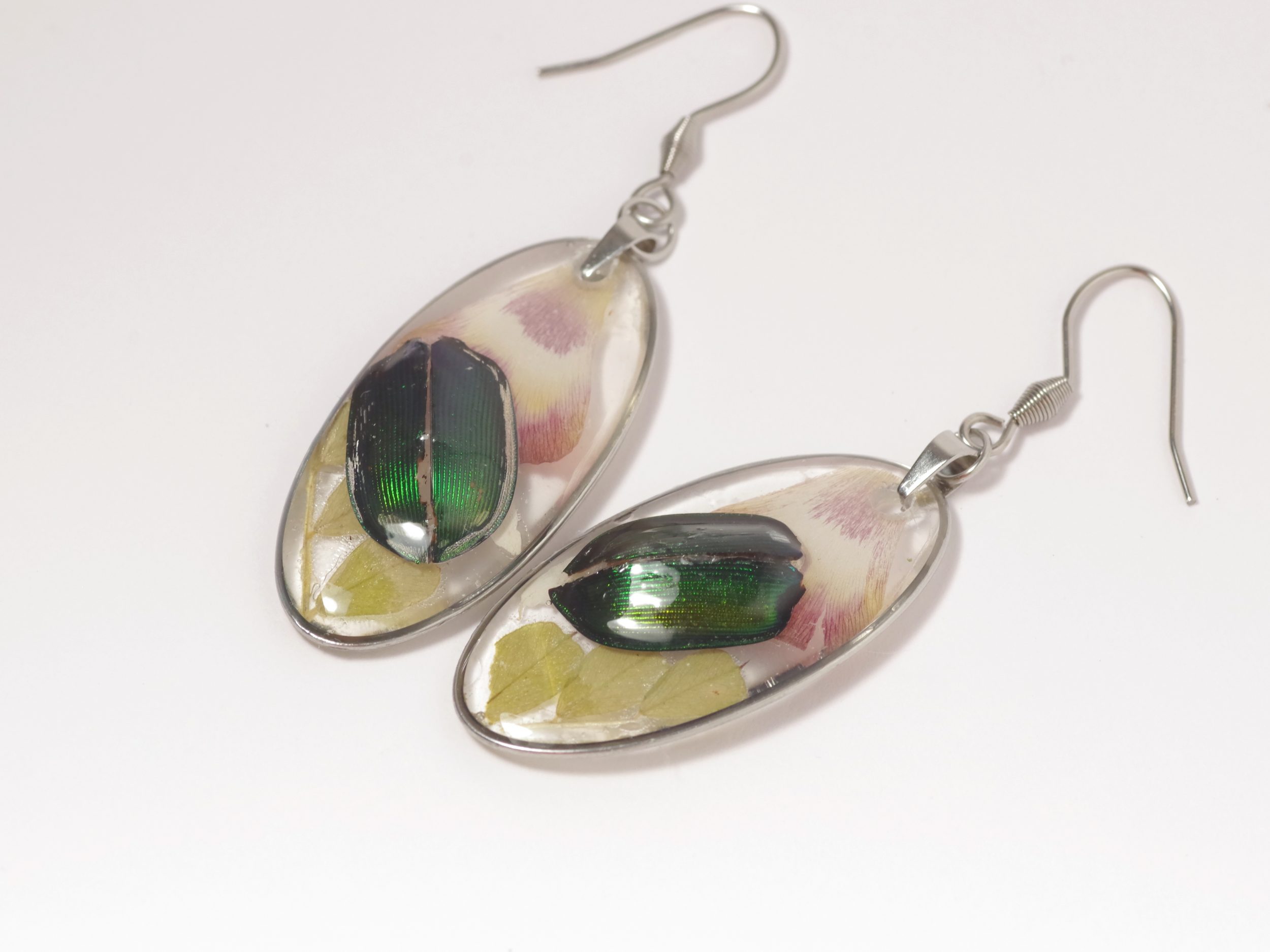 Boucles d'oreilles Calosoma, petits élytres de scarabées – Image 2