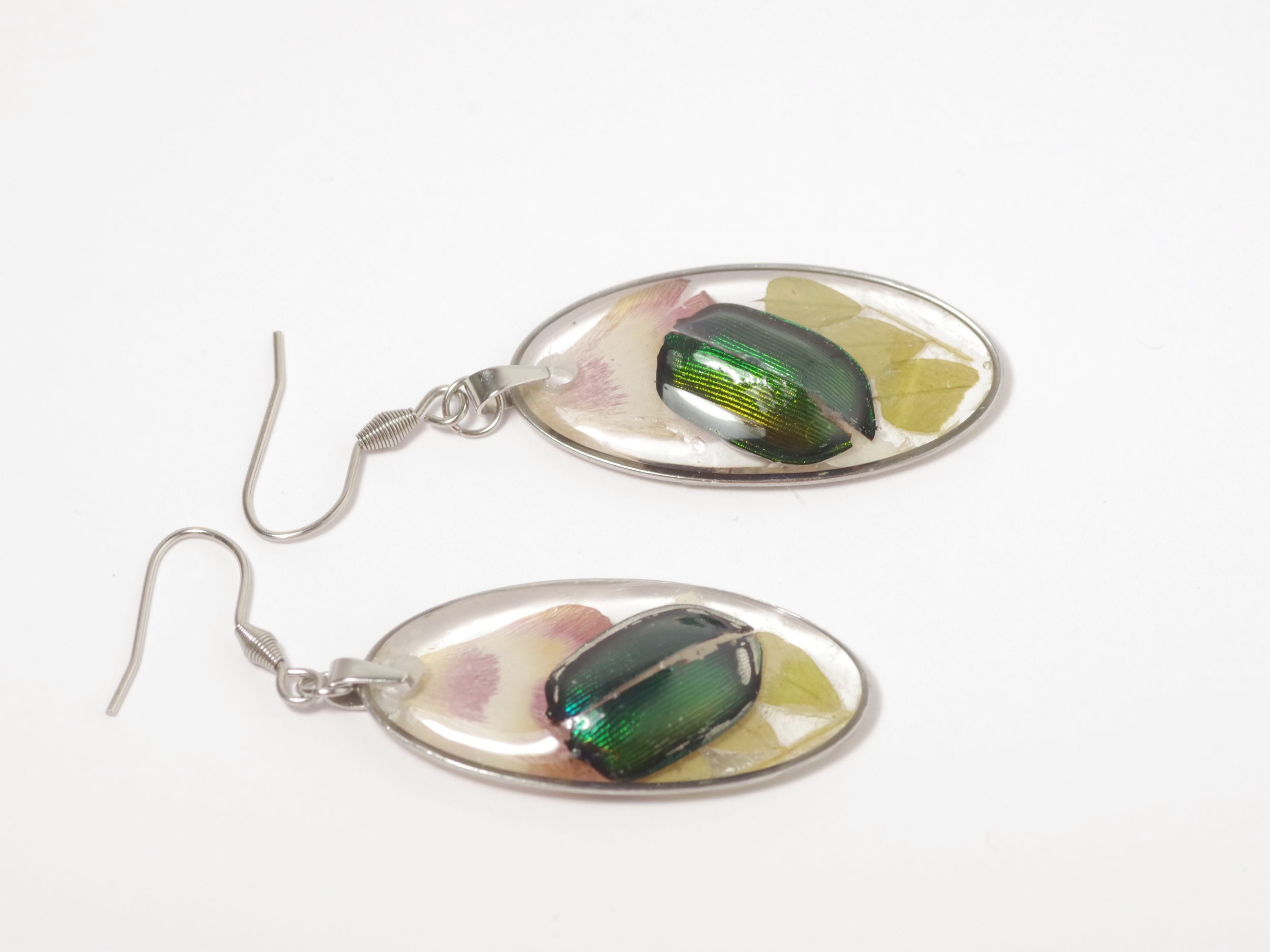 Boucles d'oreilles Calosoma, petits élytres de scarabées – Image 3