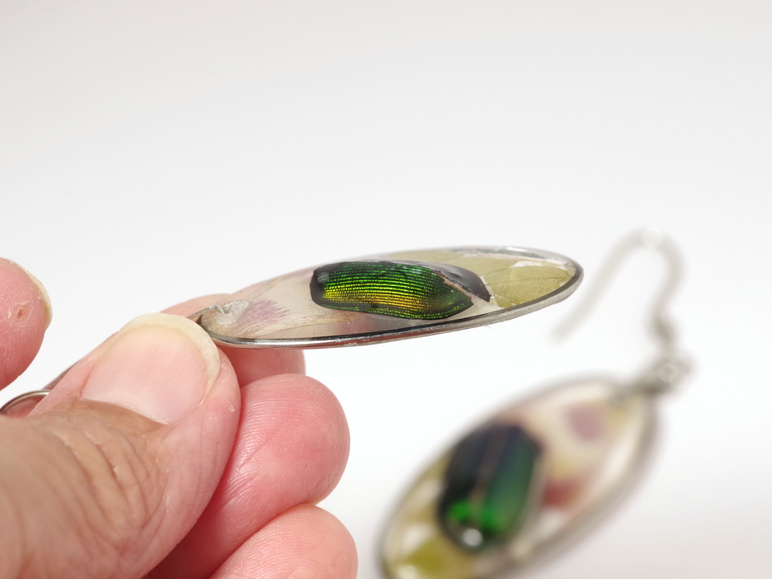 Boucles d'oreilles Calosoma, petits élytres de scarabées – Image 5