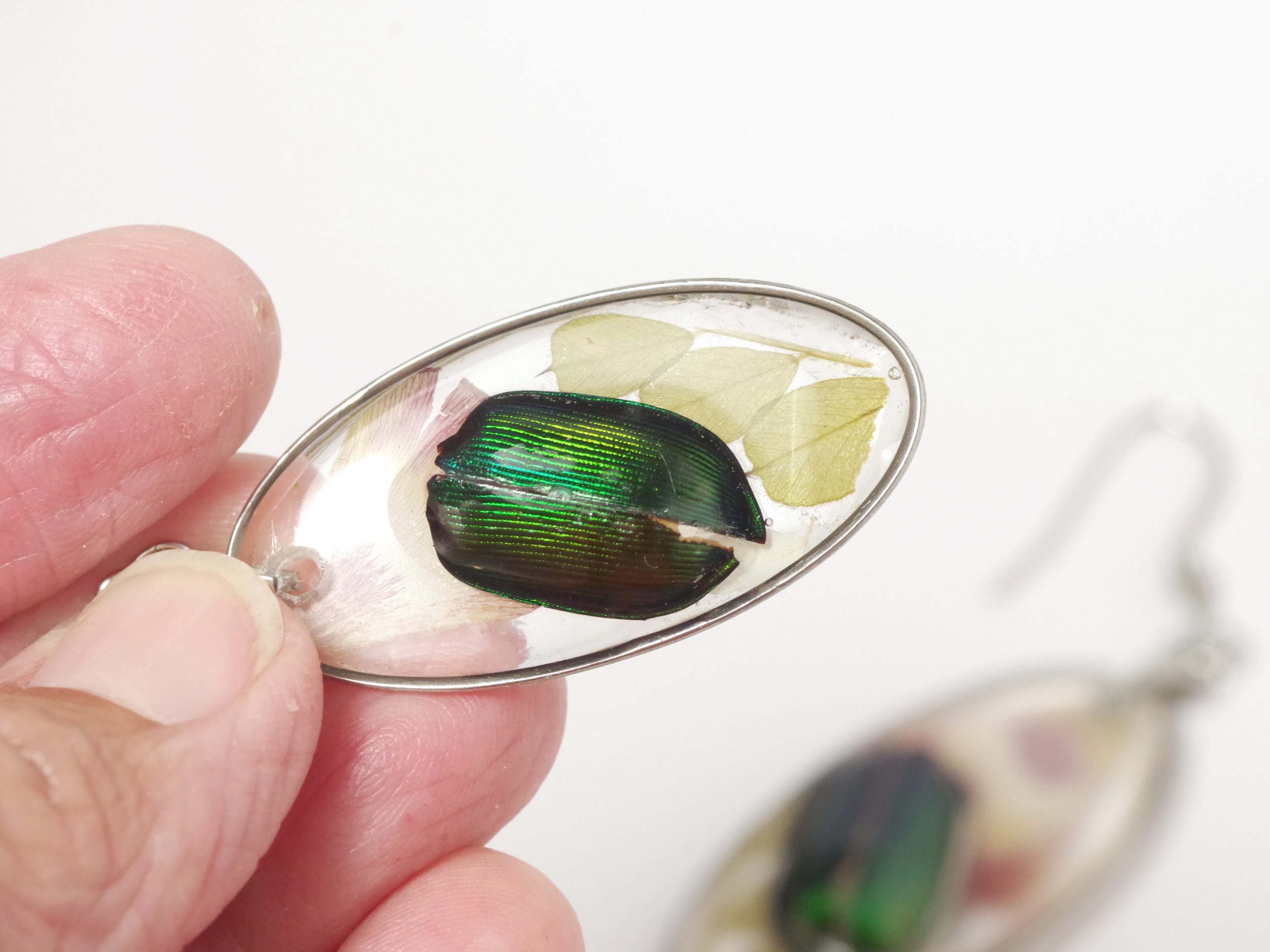 Boucles d'oreilles Calosoma, petits élytres de scarabées – Image 6