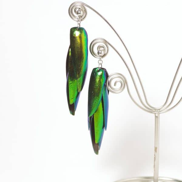 Boucles d'oreilles réalisées avec plusieurs élytres de scarabées aux reflets verts à reflets dorés