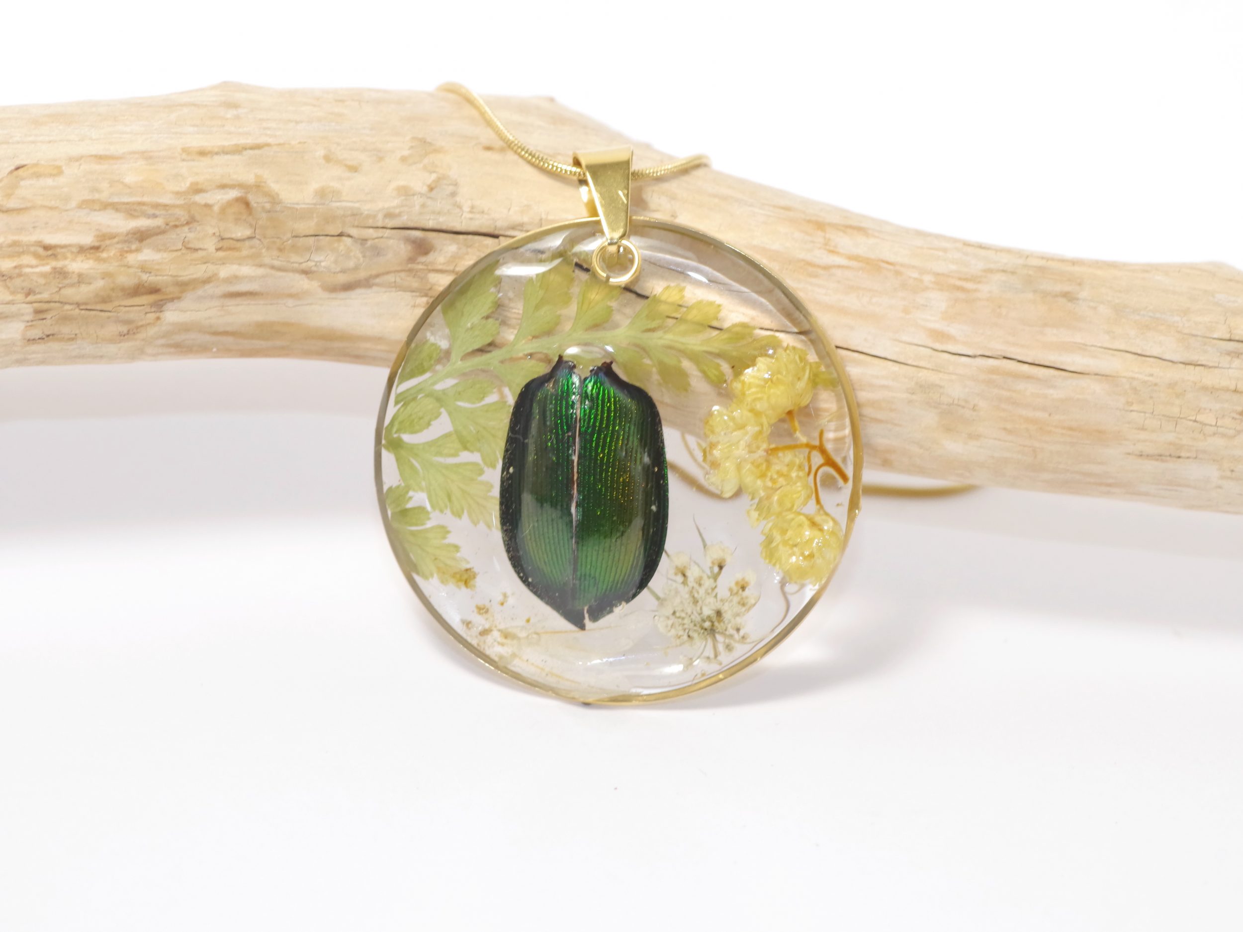 Collier Calosoma, vrai scarabée et immortelles – Image 2