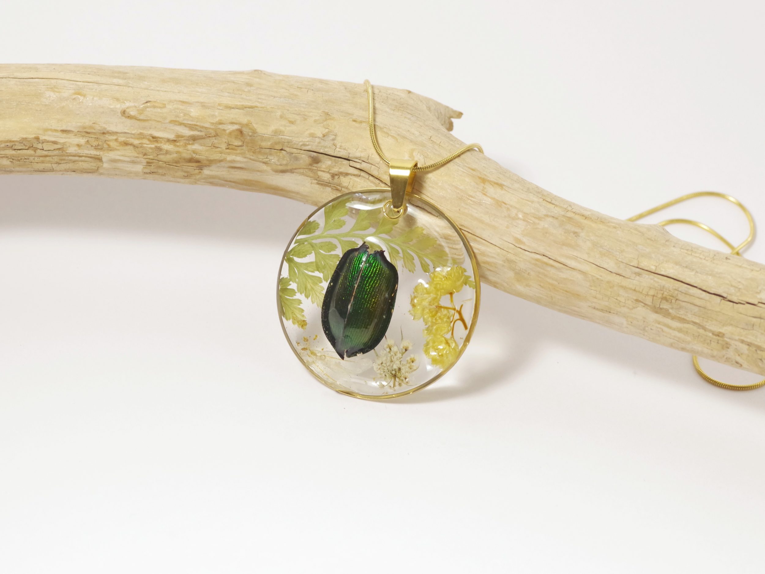 Collier Calosoma, vrai scarabée et immortelles – Image 5