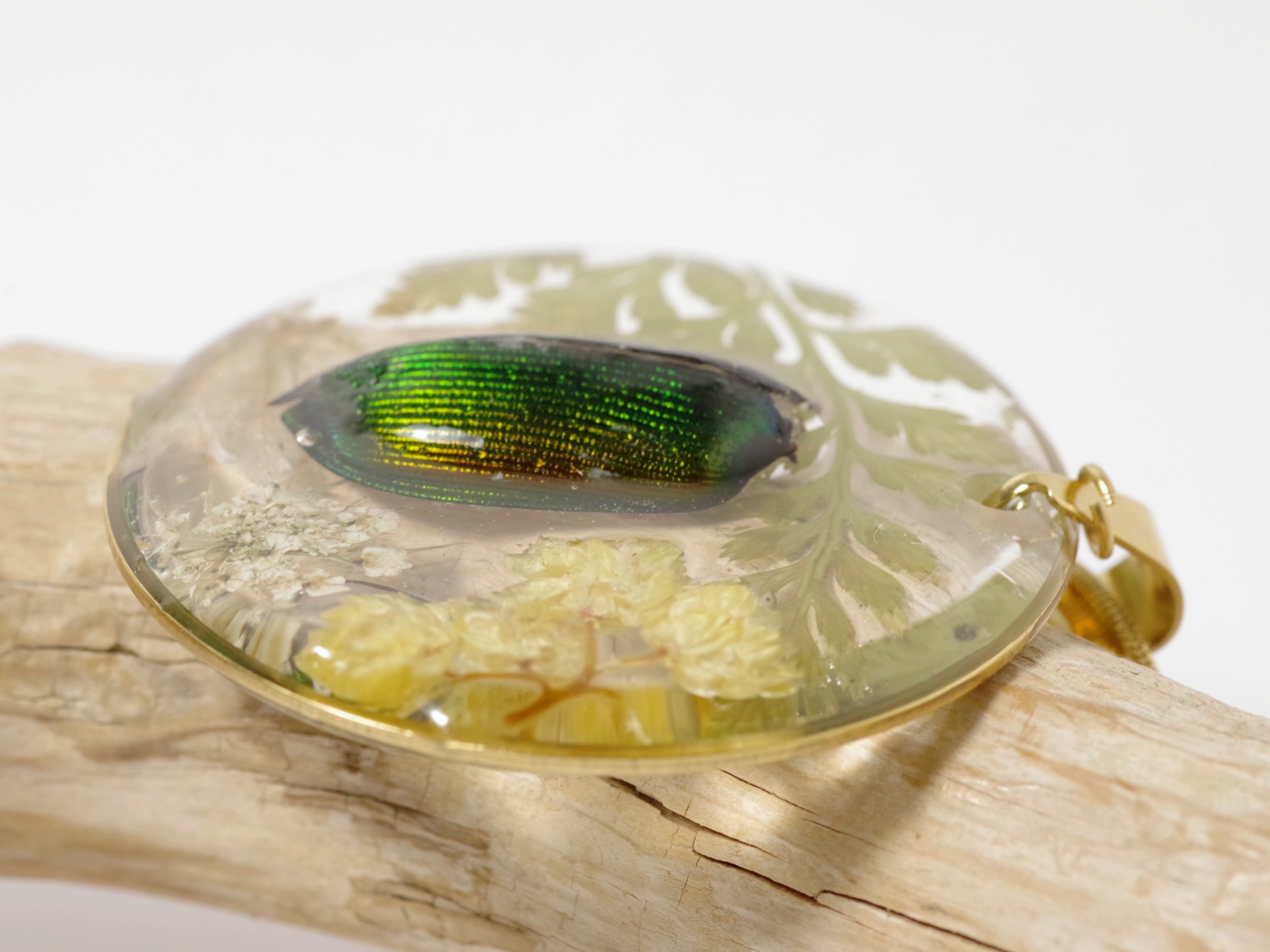 Collier Calosoma, vrai scarabée et immortelles – Image 3