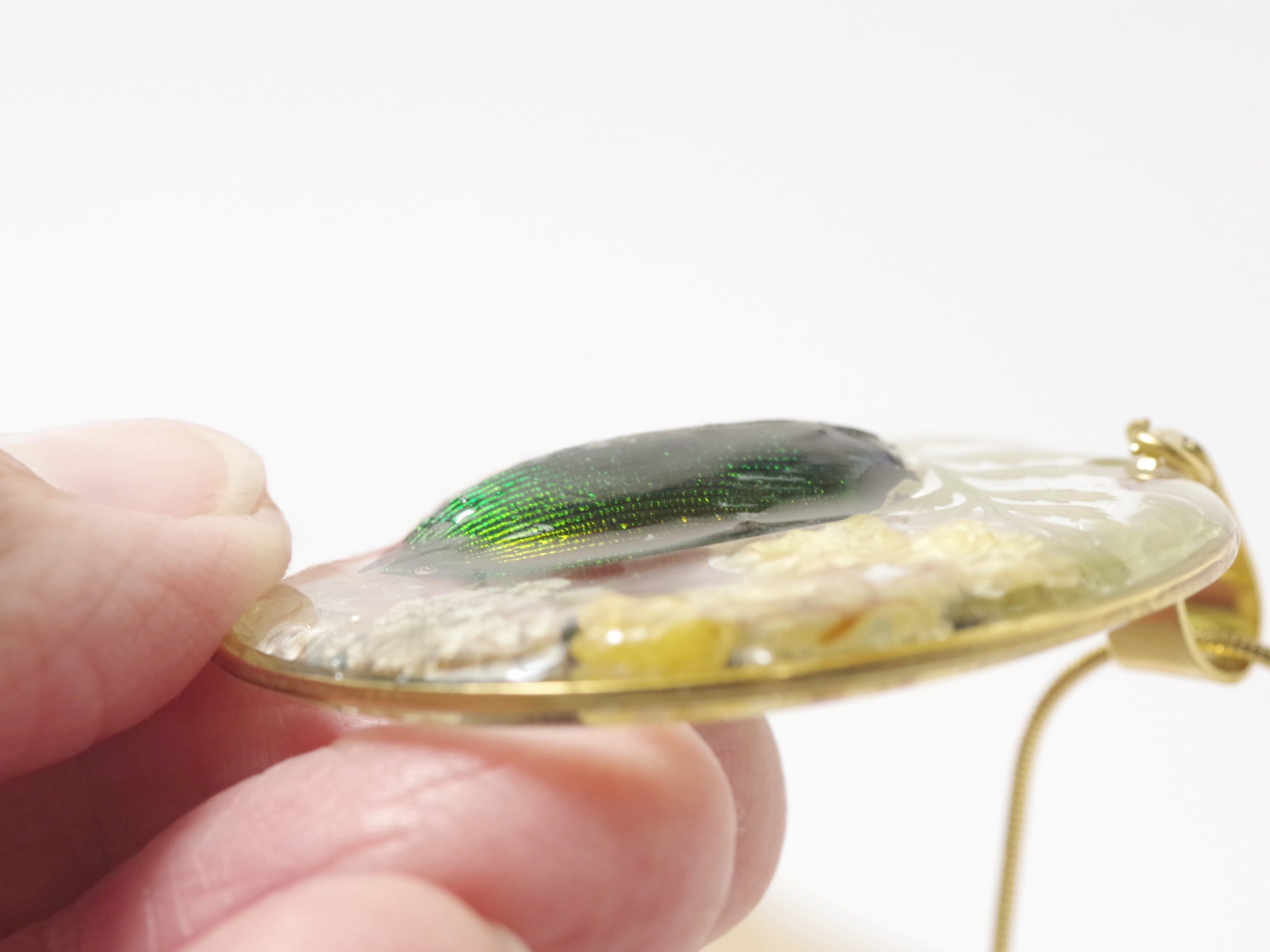 Collier Calosoma, vrai scarabée et immortelles – Image 4