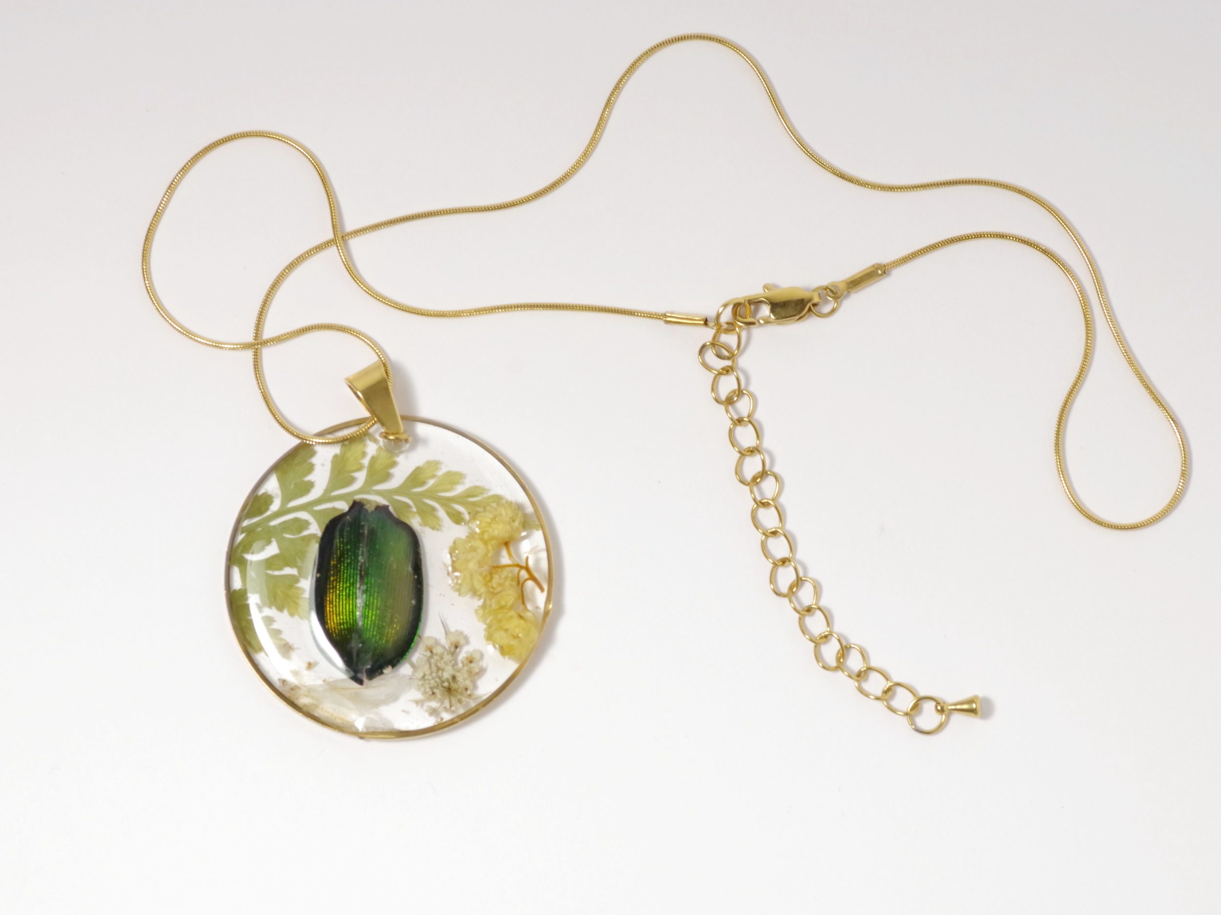 Collier Calosoma, vrai scarabée et immortelles – Image 6