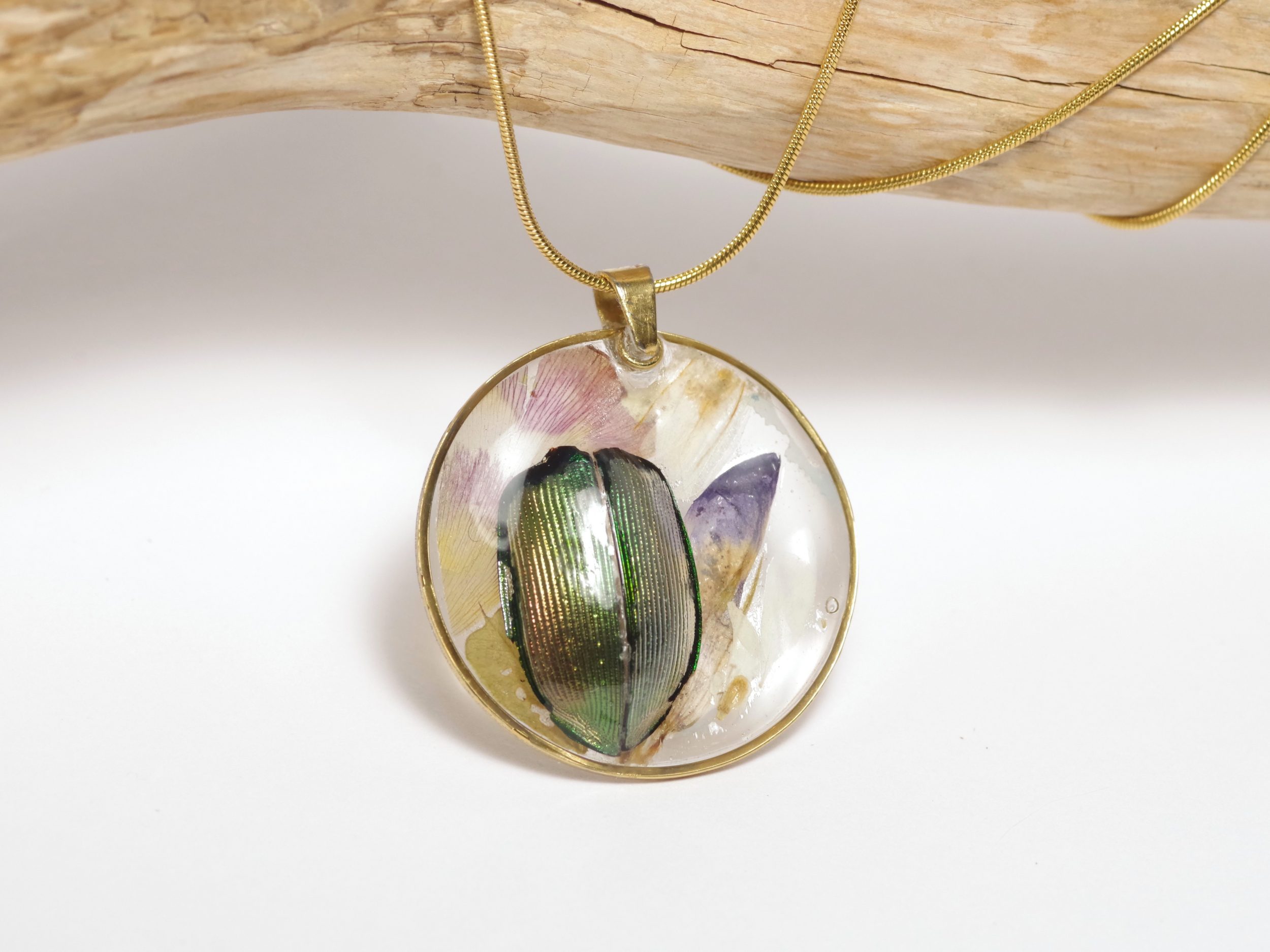 Collier Calosoma, petit scarabée – Image 4