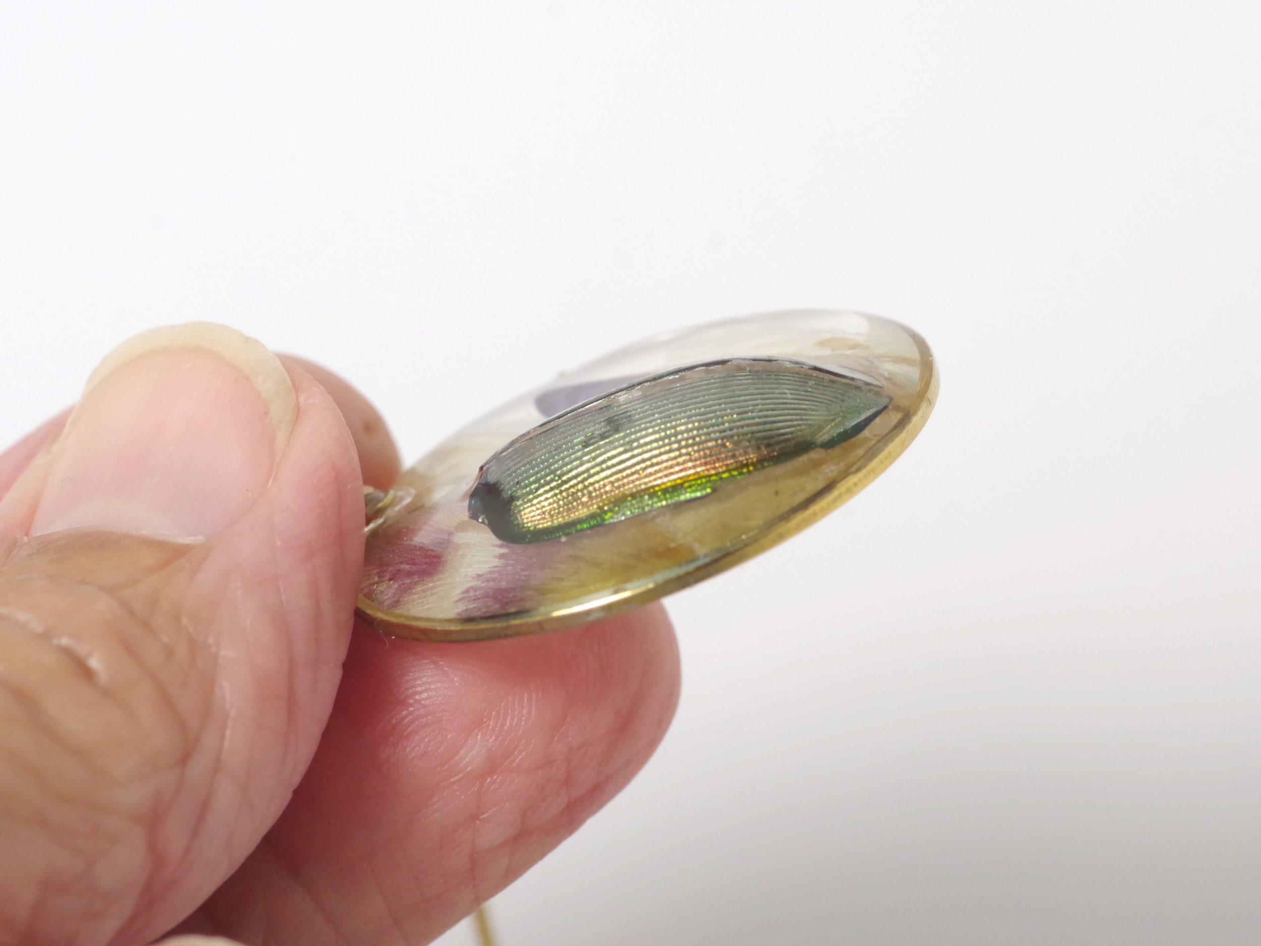 Collier Calosoma, petit scarabée – Image 5