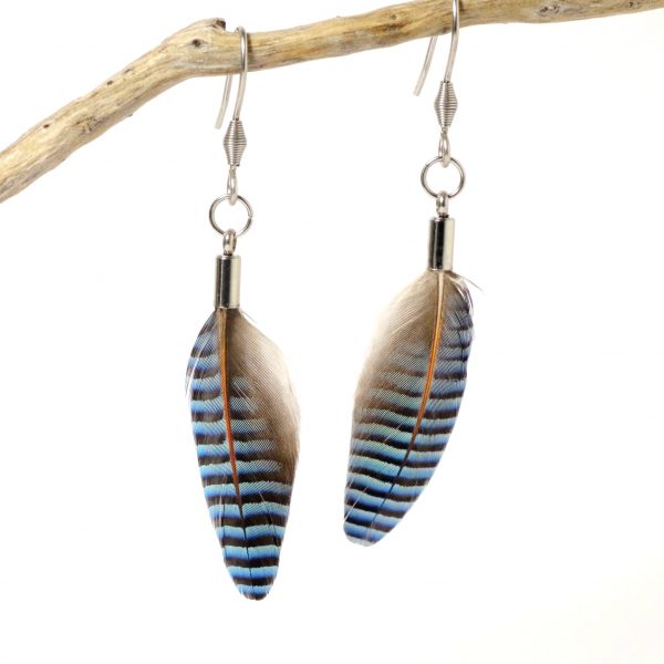 boucles d'oreilles avec des plumes à fines rayures. Ce sont des plumes rares de geai