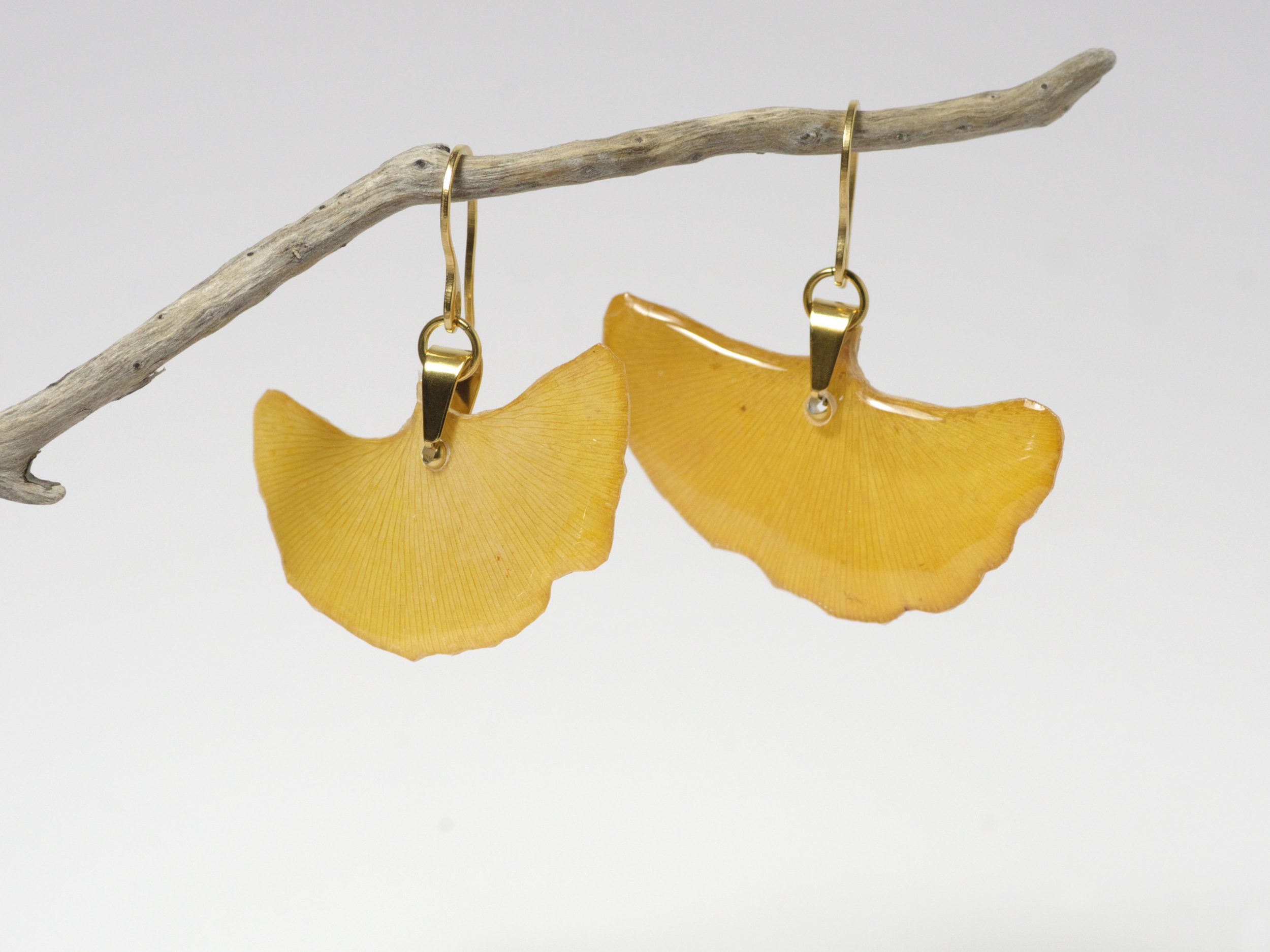 Feuilles de ginkgo en éventail montées en boucles d'oreilles. Elles sont jaune ocre.
