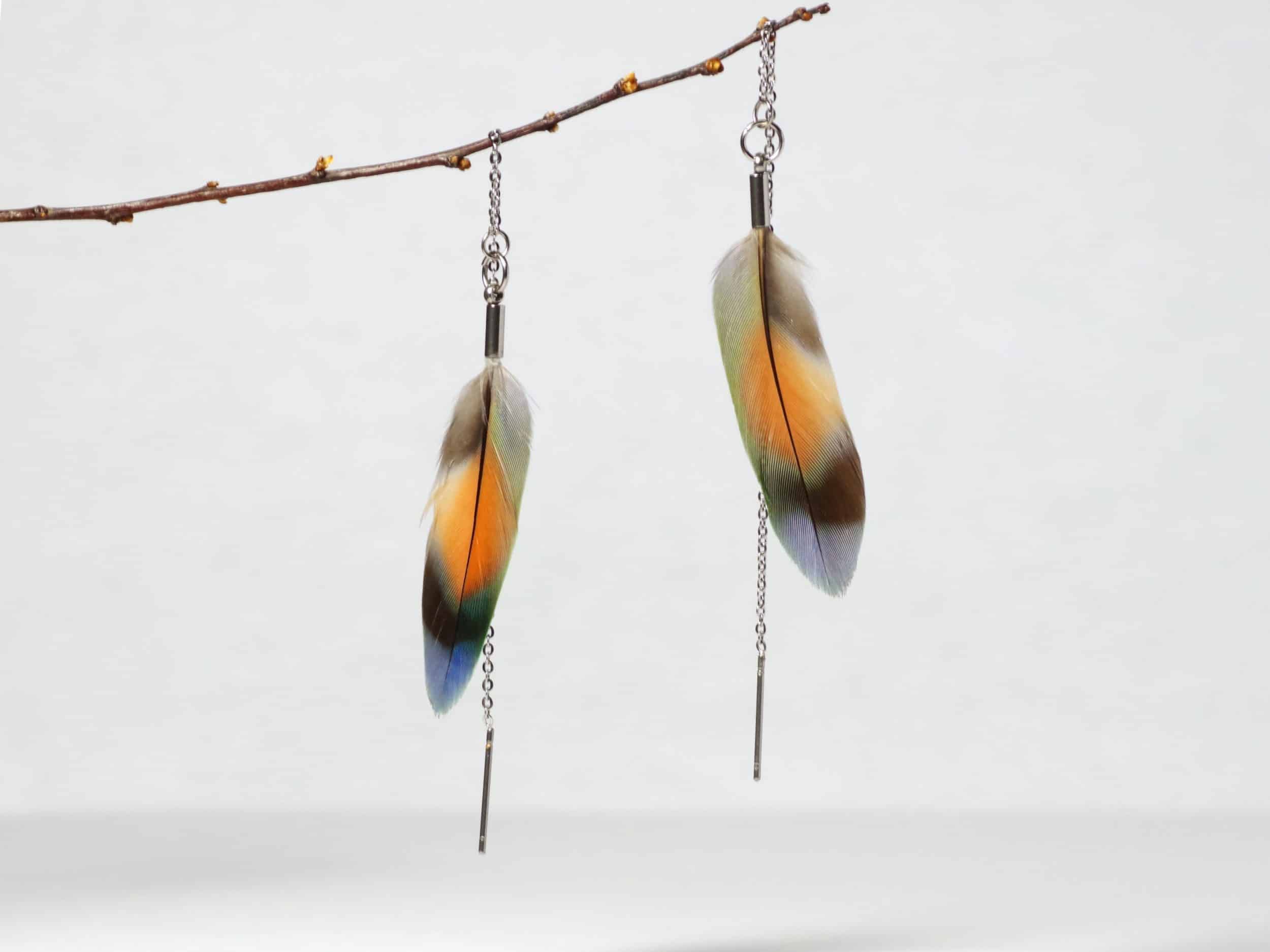 Chaînes d'oreilles en inox avec des plumes de lovebird multicolores.