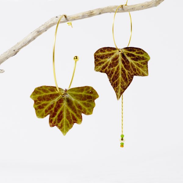 Deux feuilles de lierre aux très belles nervures sont montées sur des créoles dorées asymétriques.