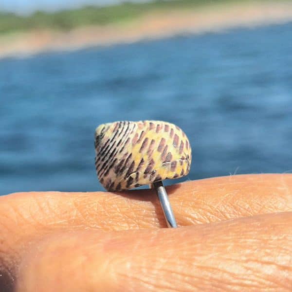 Bague Gibule, anneau fin reglable