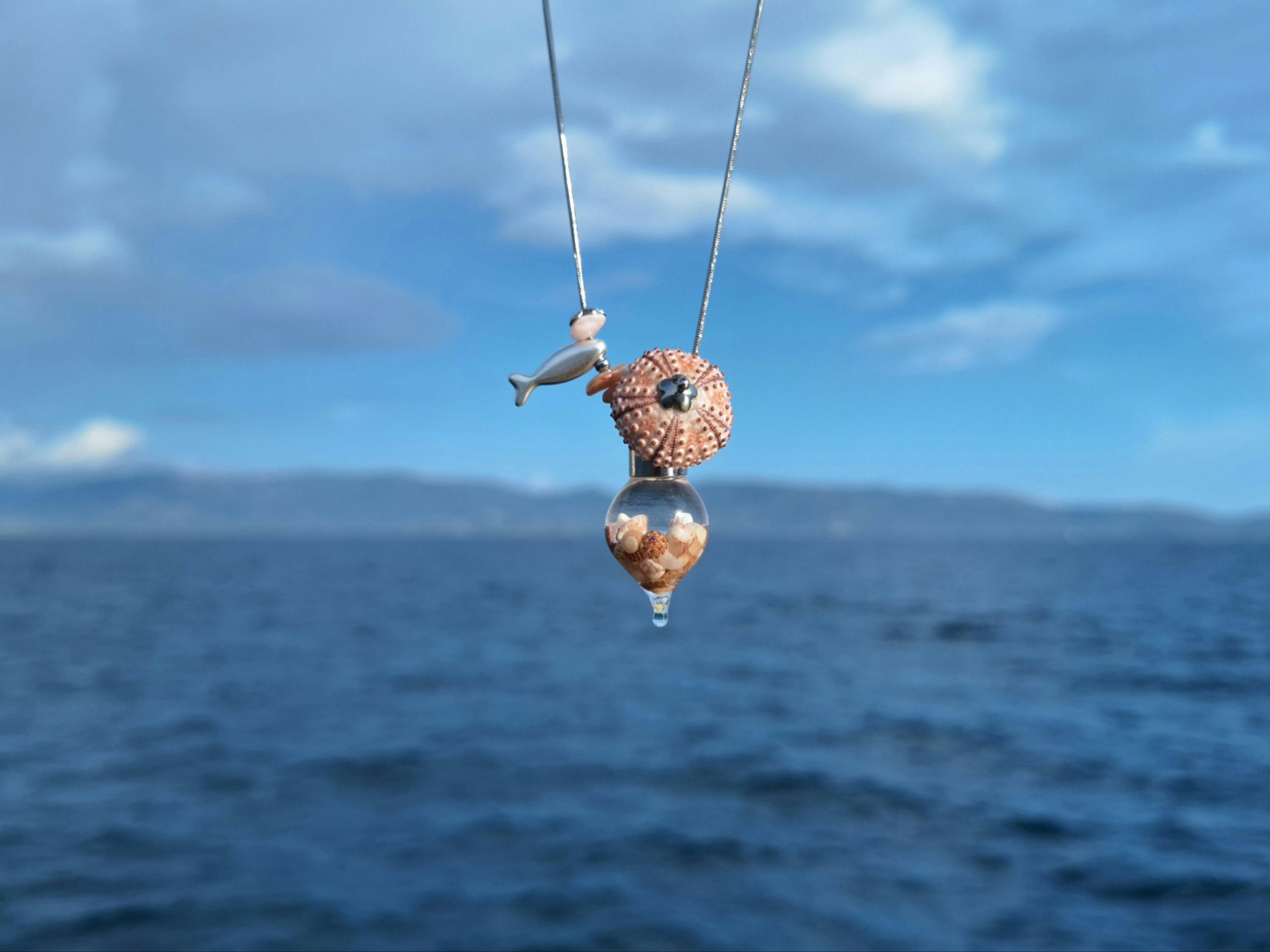 Collier Calypso, oursin rose et coquillages mini – Image 10