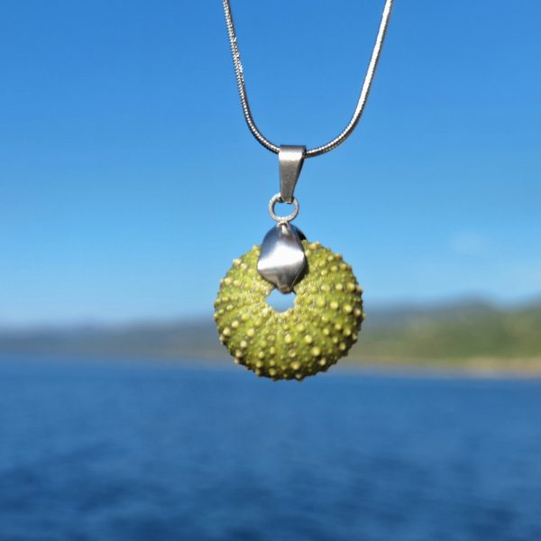 Collier Été, minuscule oursin vert