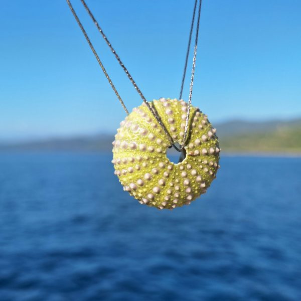 Collier Solstice, test d'oursin vert
