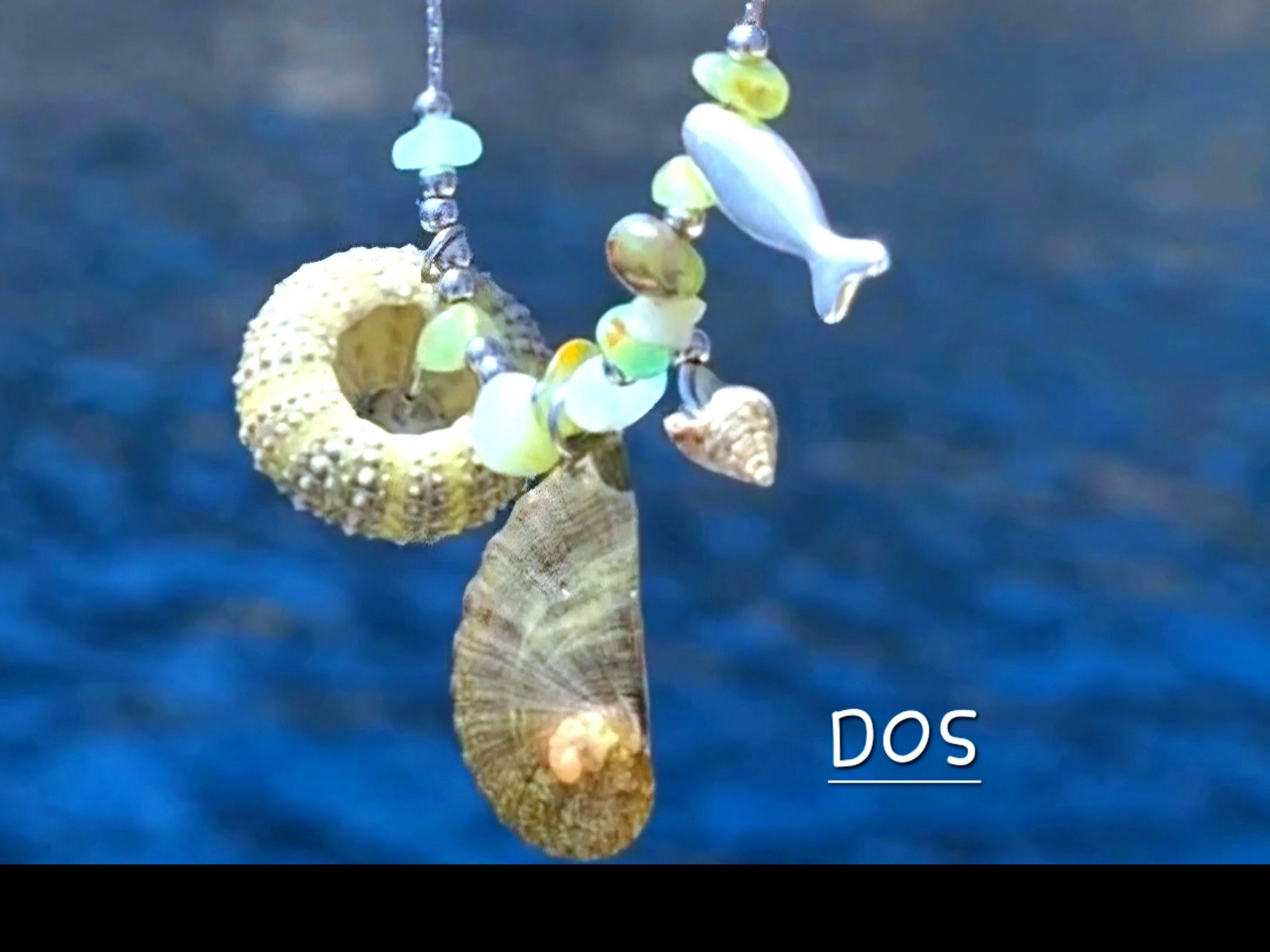 Collier Crique : oursin et ormeau – Image 8