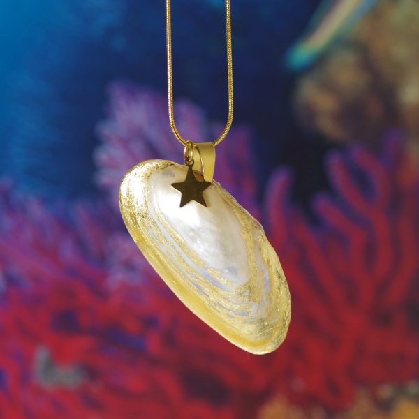 Coquille dorée à la feuille en pendentif sur une chaîne dorée accompagné d'une étoile.