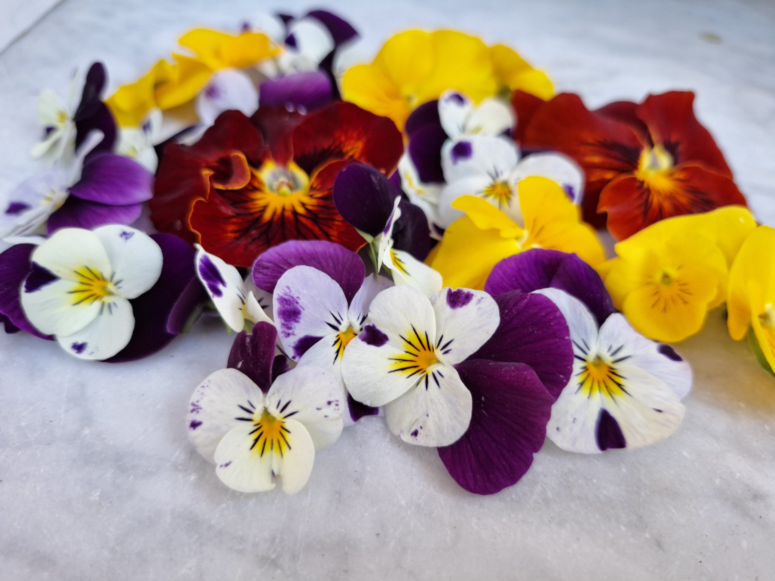 Boucles d'oreilles Flora Mini, pensées minuscules – Image 7