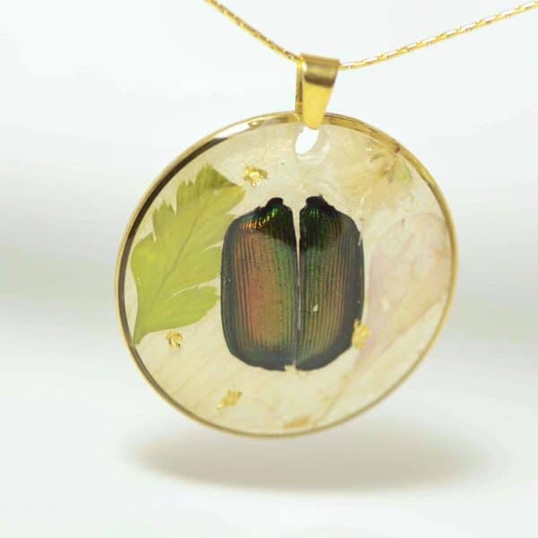Collier Calosoma, élytres de vrai scarabée