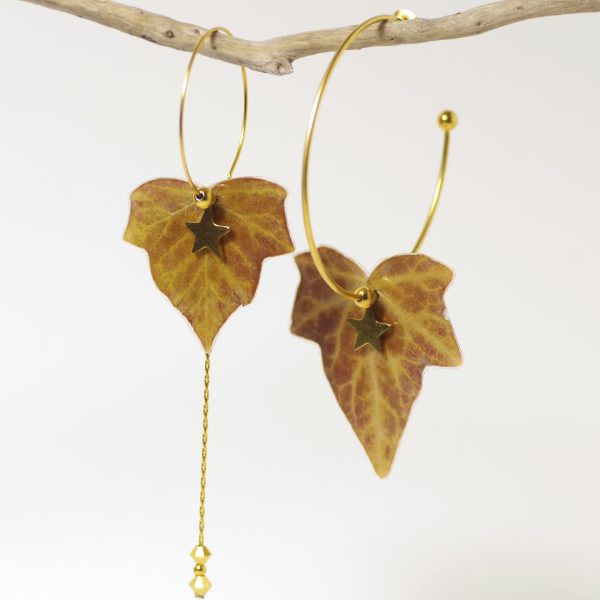 Une paire de créoles avec des feuilles de lierre étoilées. Ce sont de vraies feuilles.