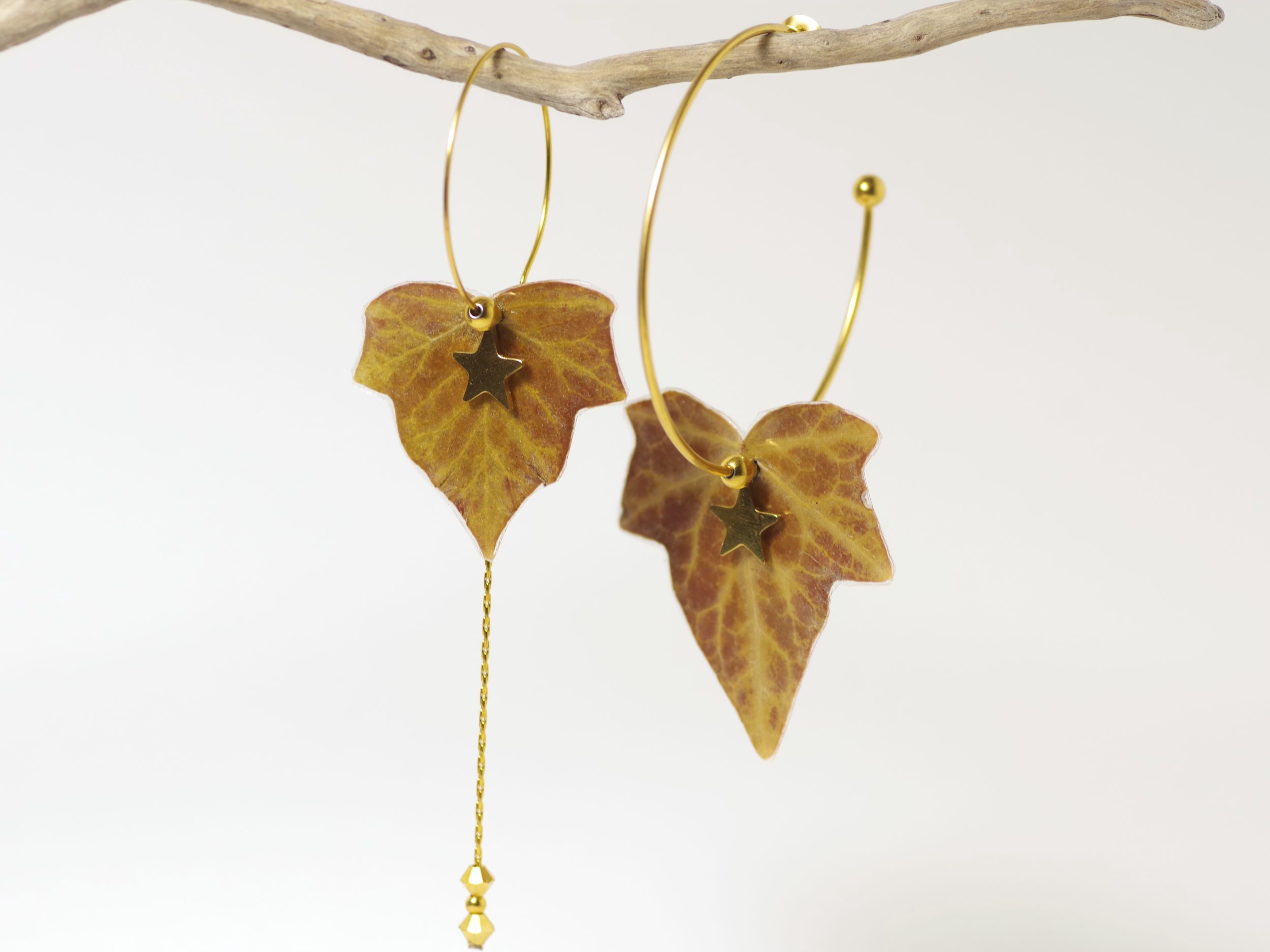 Une paire de créoles avec des feuilles de lierre étoilées. Ce sont de vraies feuilles.
