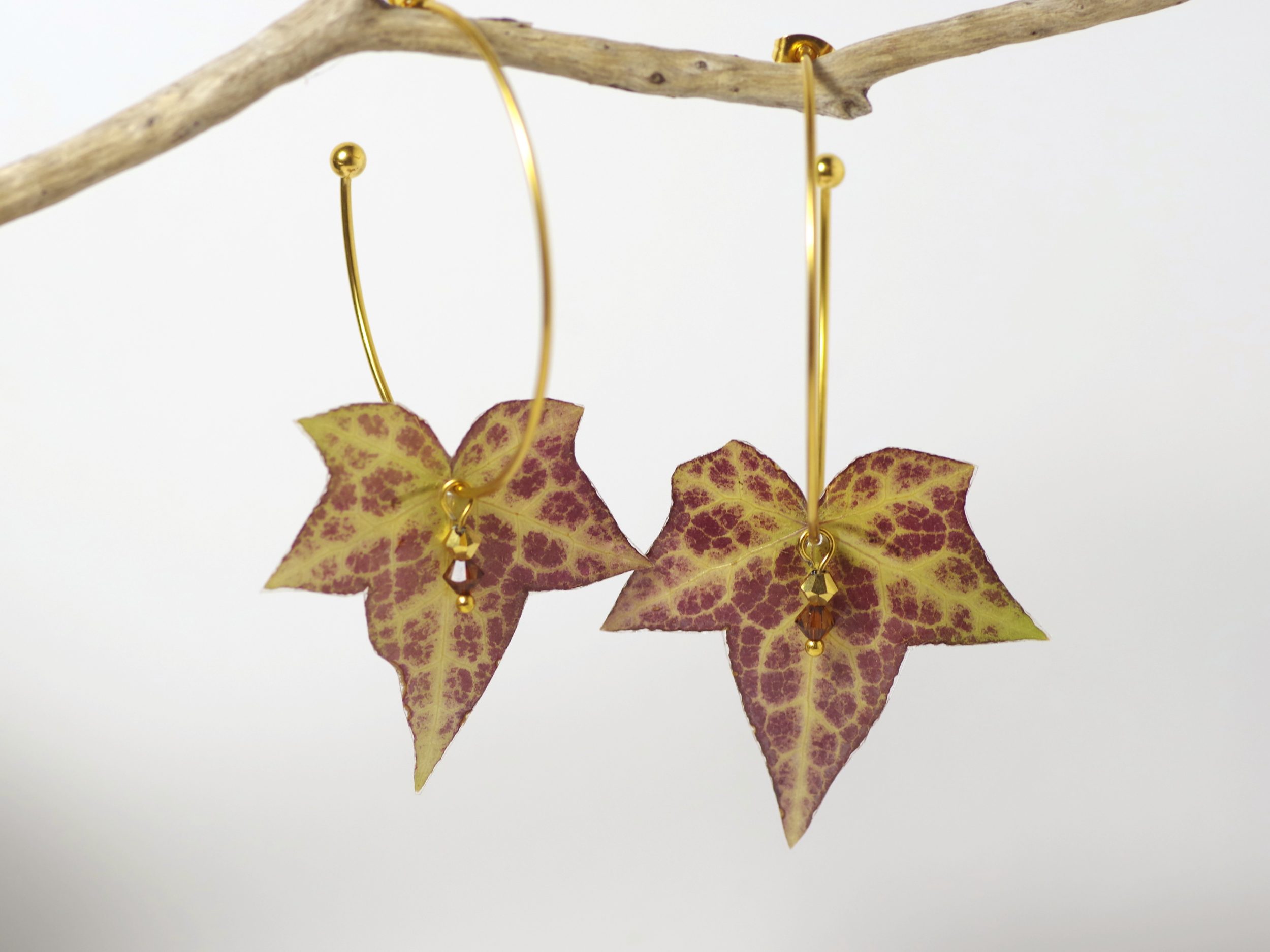 Belles feuilles de lierre aux nervures très contrastées, montées sur de grandes créoles dorées.