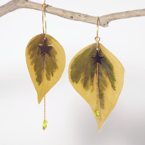 Belles feuilles bicolores (kaki clair et vert kaki) montées en boucles d'oreilles asymétriques sur des créoles dorées accompagnées d'une étoile et une chaîne.
