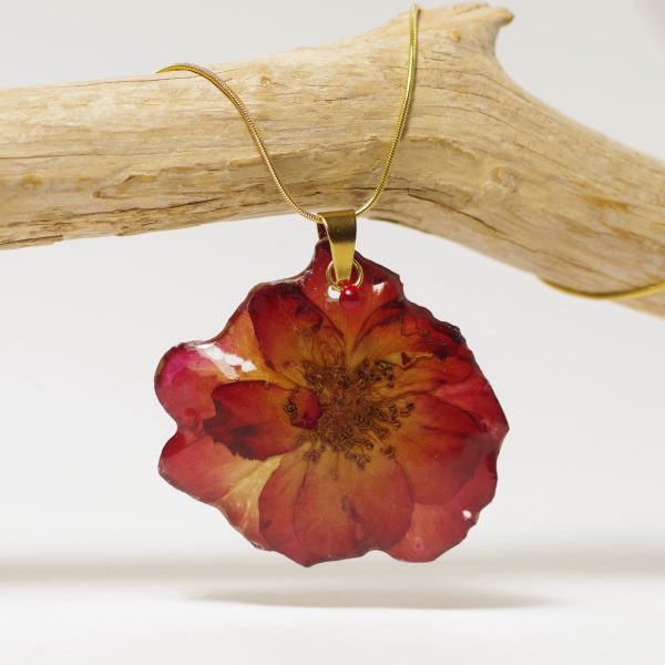 Une vraie rose rouge en pendentif sur une fine chaîne serpentine dorée. Fleur glacée à la résine.